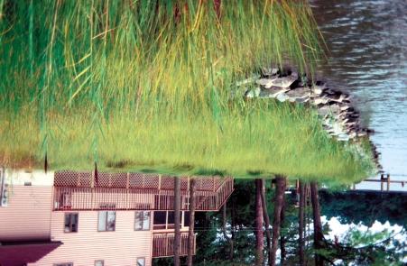 For many shorelines along the moderate to lower energy areas of North Carolina s tributaries and bays, the creation or restoration of fringing marshes is an effective, less expensive option for the