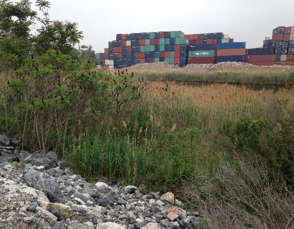 This site is located along approximately 900 feet of Newark Bay and is bordered by a shipping container yard, railroad tracks, and a HESS petroleum tank farm.