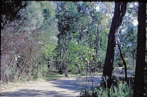 Each of these headwaters are at the start of public reserve land in the form of the Ku-ring-gai Chase National Park (to the north and north-east) and Garigal National