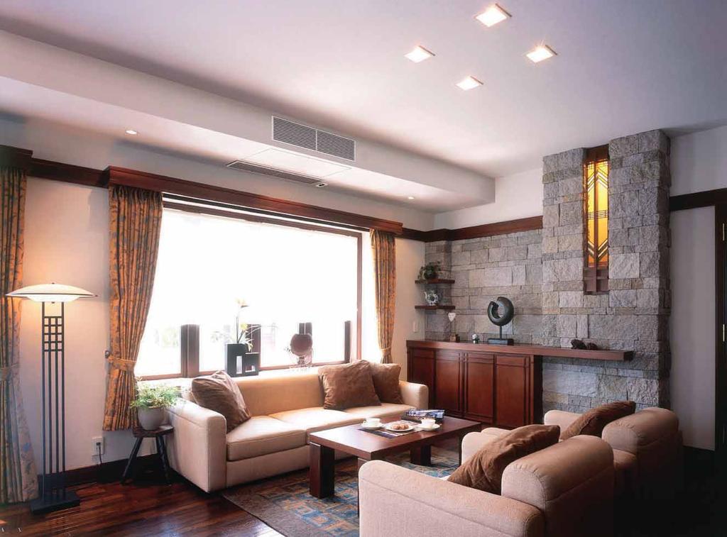 Air condition your home with a single outdoor unit.