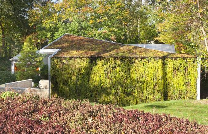 A living green roof reduces the costs of heating and cooling, encourages the local wildlife and naturally filters the