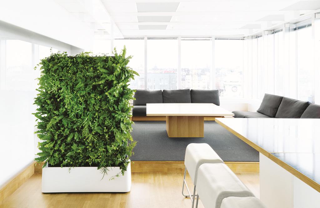 INTERIOR GREEN WALL Green Walls are a growing trend in residential design and