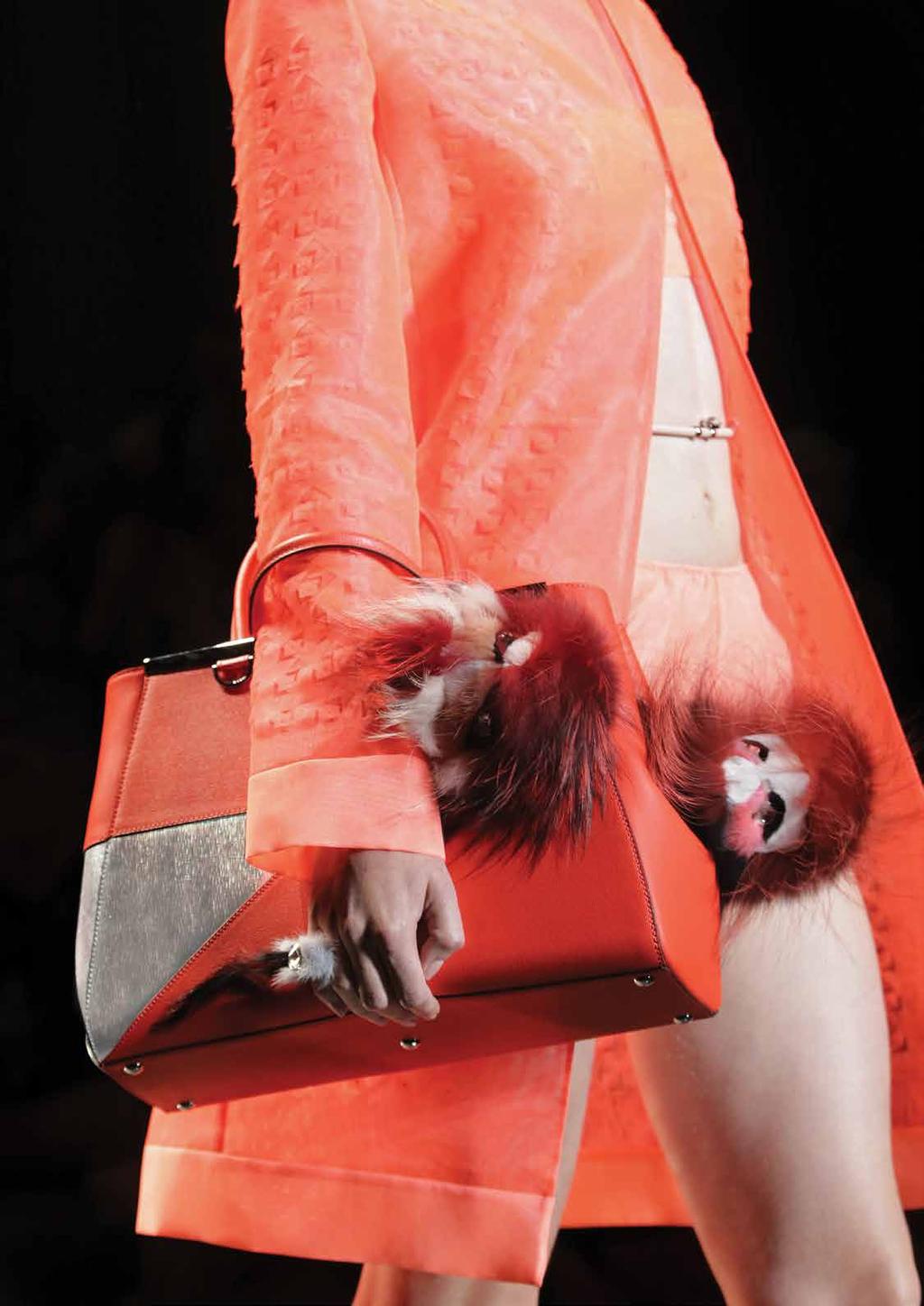 Iconic fashion In the world of Fendi: beauty