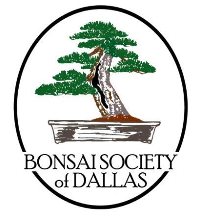 BSD NEWSLETTER PAGE 1 Bonsai Society of Dallas Monthly Member Newsletter July 2015 Message from the President In This Issue Message from the President July Program Upcoming Events July Bonsai Tips