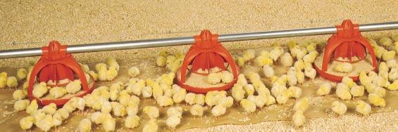 Produce larger birds faster, with better feed conversions Big Dutchman s Unigrow360 Broiler Feeding System is a revolutionary, patented pan feeding system that: drastically reduces the time it takes