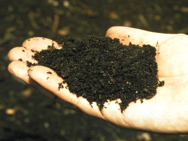 What is finished compost?