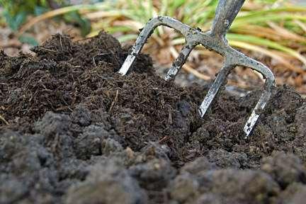 HOW PLANTS USE COMPOST Builds soil structure Helps soil retain nutrients plants need, like nitrogen, phosphorous, potassium,