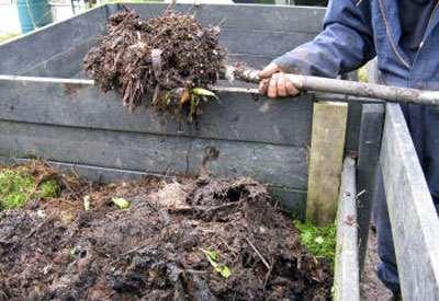 TURN, BABY, TURN Turning or mixing compost speeds it up Physically breaks pieces up Inserts oxygen into the core of