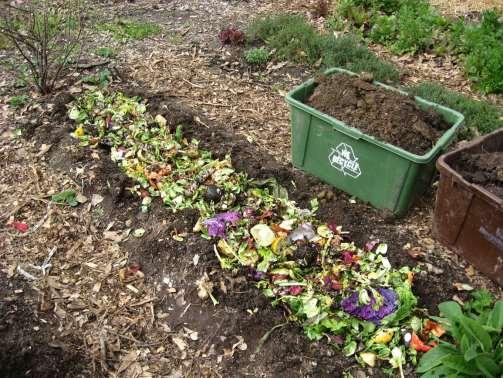 TRENCH COMPOSTING Advantages Quick to set up No maintenance Contact with soil Easy to keep wet Easy to move compost onto plants Few
