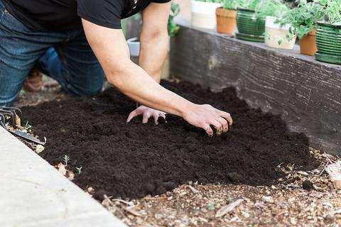 HOW TO USE COMPOST AKA FEEDING THE SOIL Mixing into soil One trowel per