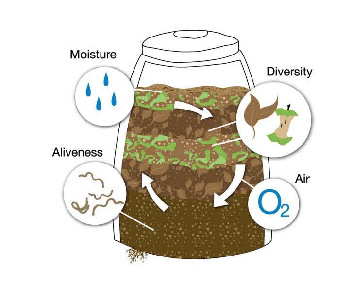 How does composting work? Composting is nature s recycling program: Food, plants, trees and leaves decompose. They become soil or compost.