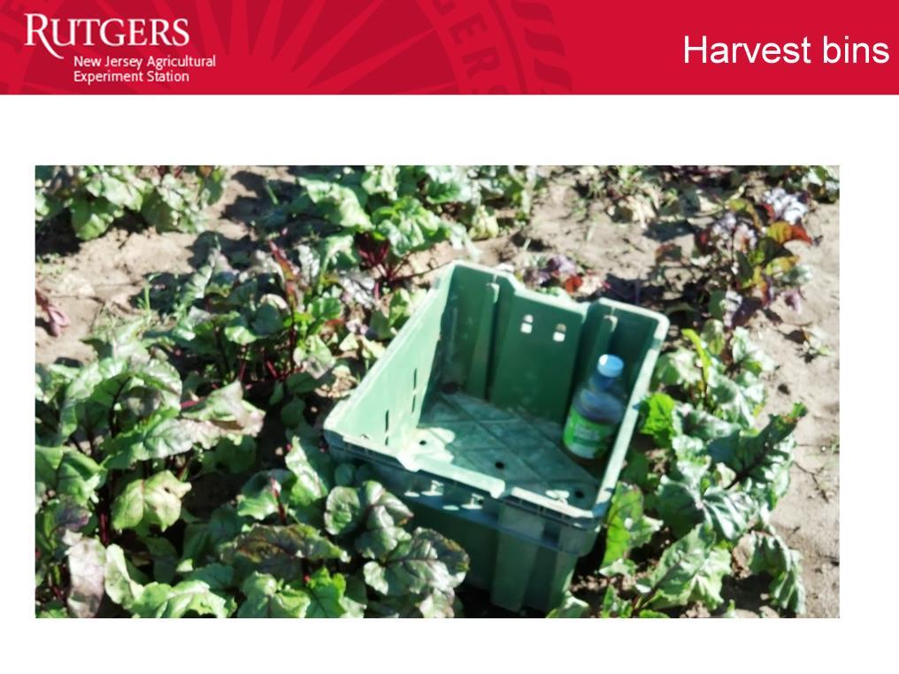 Harvest bins should be made of material that is easy to clean and sanitize. These bins should only be used for harvesting, and in this case should not be used for holding personal belongings.