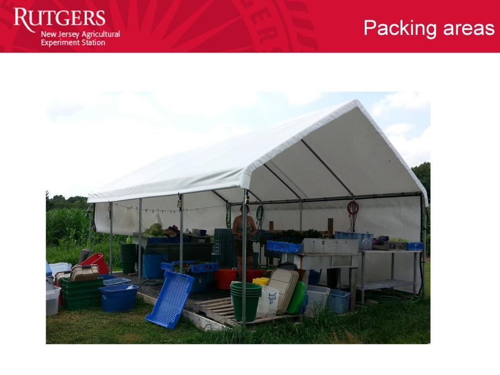 Temporary packing areas are acceptable, if they are constructed with food safety in mind,