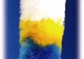 with flexible duster head 52-80 (132cm - 203cm) Extension Duster