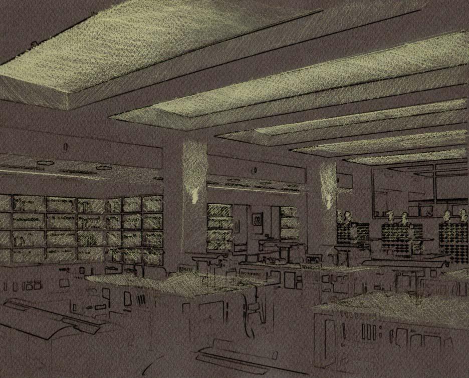 READING ROOM Schematic Design Linear fluorescent cove or surface mount asymmetric fixture to highlight wood ceilings and provide glare-free ambient lighting. Consider implementing dimming controls.