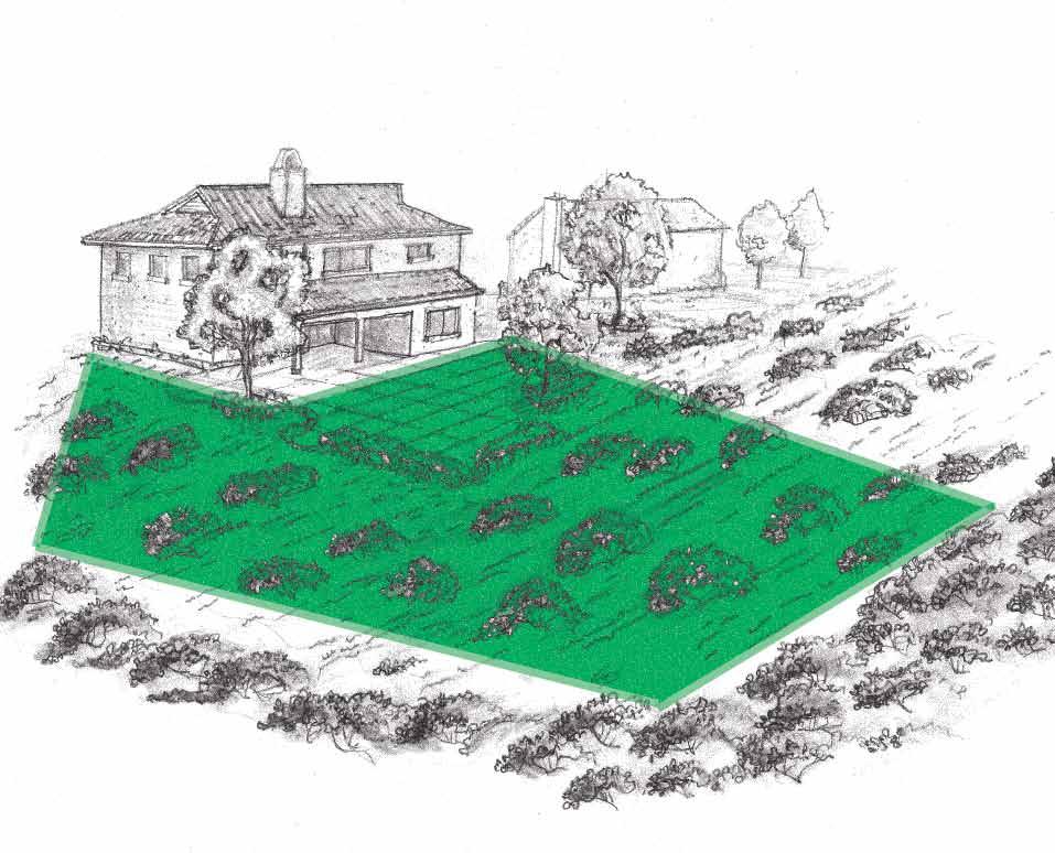 DEFENSIBLE SPACE Create 100 feet 100 feet Protect your home! Create 100 feet of defensible space around all structures. This area should be landscaped or mowed to 3 inches or below.
