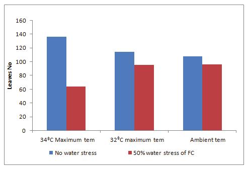 interaction between water stress and temperature stress.