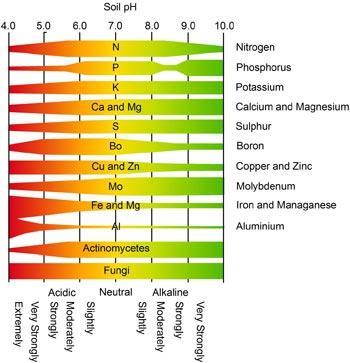 High ph makes every nutrient