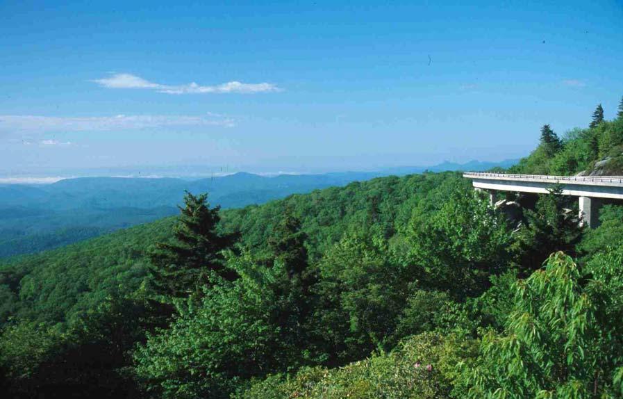 Blue Ridge Parkway Scenic Experience Project Results Synthesis Phase I Southwest Virginia and Phase II Northern North Carolina April 2004 Leah Greden Mathews* and Susan Kask *Corresponding author.