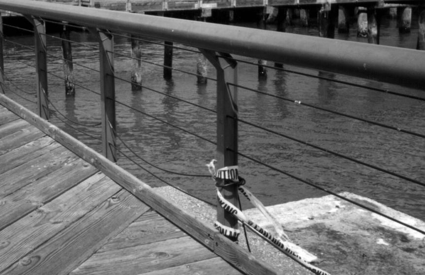 Chapter 3 135 Railings (Not appropriate) Many rails are not appropriate for the waterfront due to lack of durability, being easy