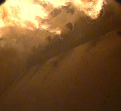 Figure 4 Video image from lower row of 4 pulverised 30 MWth wood flames.