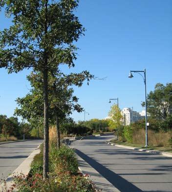 The Humber Bay Shores Three 10 3.3.2. Roads and Streetscapes The recent development area is framed by Marine Parade Drive and Lake Shore Boulevard West, both of which have wide rightof-way conditions.