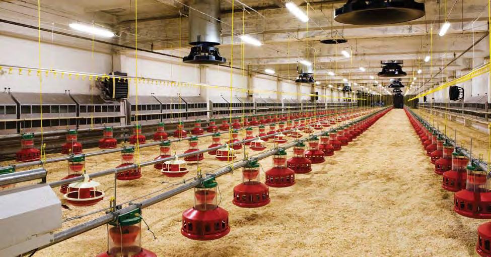 Livestock Temperature Smoke Humidity What s Important In Your LIVESTOCK facility?
