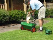 Avoid fall fertilization as it will stimulate growth and possibly cause winter damage to tender growth.