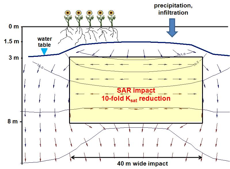 Modeling subsoil SAR effects (cont d) Here, shallower impact with 10-fold K sat reduction has