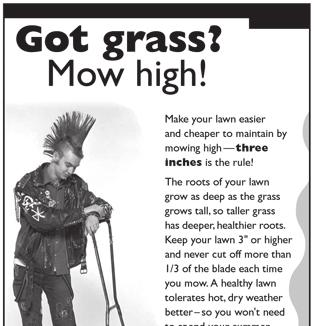 pdf Mow High and Let it Lie: Cutting turf too short can lead to plant stress, shallow root systems and turf that is more prone to pests and weeds.