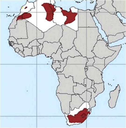 Shale Gas in ME/Africa Country KSA South Africa Libya