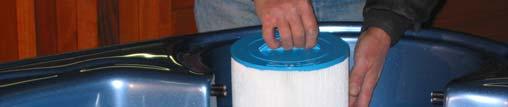 CLEANING YOUR FILTER Cleaning the Filter Cartridge: It is recommended that your Filter Cartridge(s) be cleaned every 3 to