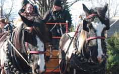 Experience the Season! With more Holiday Festivities! Columbus Store 614-268-3511 Horse-drawn carriage rides!