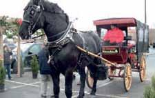 New Albany Store 614-917-1020 Horse-drawn carriage rides! Saturdays & Sundays noon - 4pm: November 26, December 4, 10, 11, & 18.
