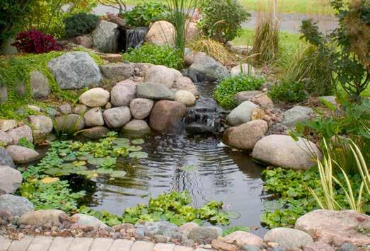Autiomatic Dosing System for Ponds Medium and Large Kits include Garden