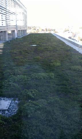 [STRATEGY] BRIEF DESCRIPTION Green roofs consist of a layer of vegetation installed on top of a conventional roof that filters rainwater through the engineered soil media.
