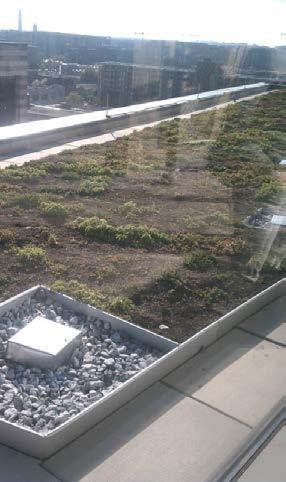 A green roof system typically includes waterproofing material, root permeable filter fabric, drainage materials, growing media, and selected landscaping.