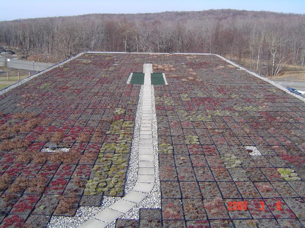 Green Green Roof Roof [CASE [CASE STUDY STUDY 2] 2] Figure 6.