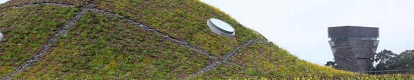 Green Roofs: From