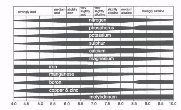 relative to OH - impacts nutrient