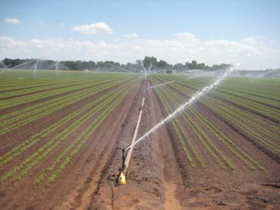 water can be calibrated to soil conditions