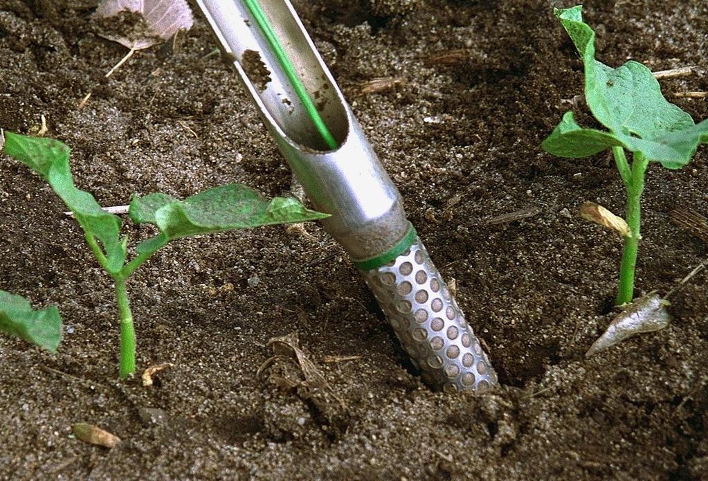 If the sensors were used in a previous season, evaluate for damage to the wire leads or the sensor surface and discard the sensor if surface looks plugged with soil or damaged.