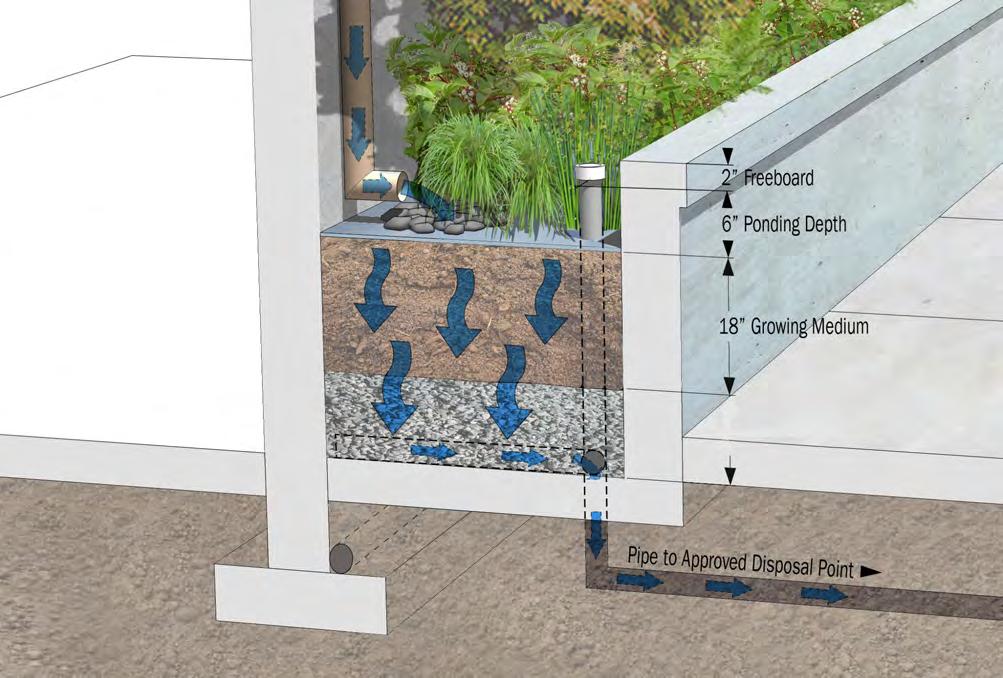 Flow-Through Planter Page 2 of 4 Structural wall (with waterproofing) Downspout Hooded overflow Gravel or splash block Perforated pipe (to run length of planter) Foundation drain Structural footing 3