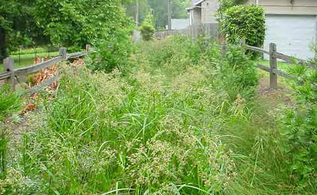 depression that collects and conveys stormwater runoff, and is narrow and at least 100 feet in length.