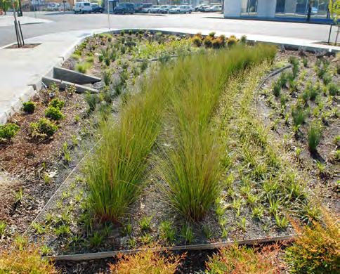 If public, the permittee is responsible for the maintenance of the vegetated swale for a minimum of two years following construction and acceptance of the facility.