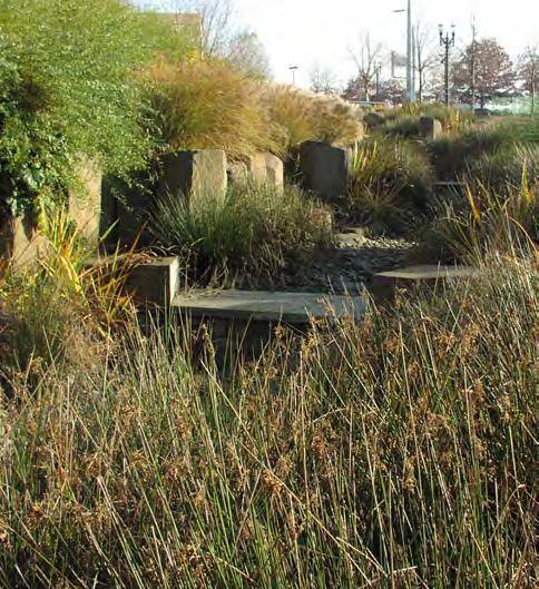 Planting Design and Habitat Page 3 of 4 Oregon Convention Center Rain Garden, Portland Design Factors (continued) Climate and Microclimate All stormwater facility vegetation should be well-adapted to