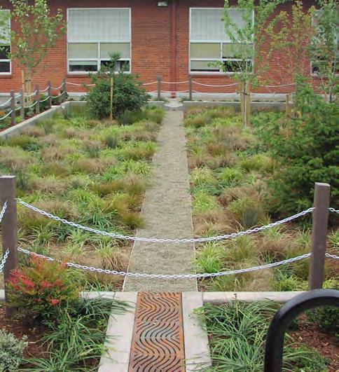 Although regional climate dictates average seasonal temperatures, amount of rainfall and available daylight, site-specific microclimates can vary considerably and should be factored into the planting