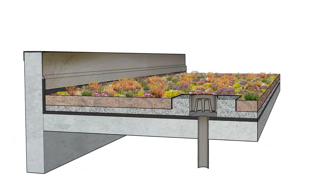Green Roof Page 2 of 4 Parapet (edge of building) Flashing Mulch layer Growing Medium (3-4 ) Filter fabric Drainage layer (1/2-1 ) Vegetation Separation structure Gravel ballast (12 min.