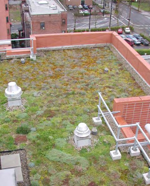 Green Roof Page 3 of 4 Beranger Condominiums, Gresham Design Factors (continued) Hamilton Apartments, Portland Drainage A method of drainage should allow excess water to flow into drains when soils
