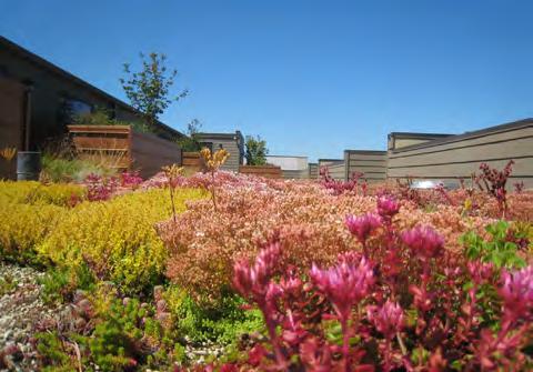 Every green roof should have an approved discharge location and drain or drains. Check with the local jurisdiction.